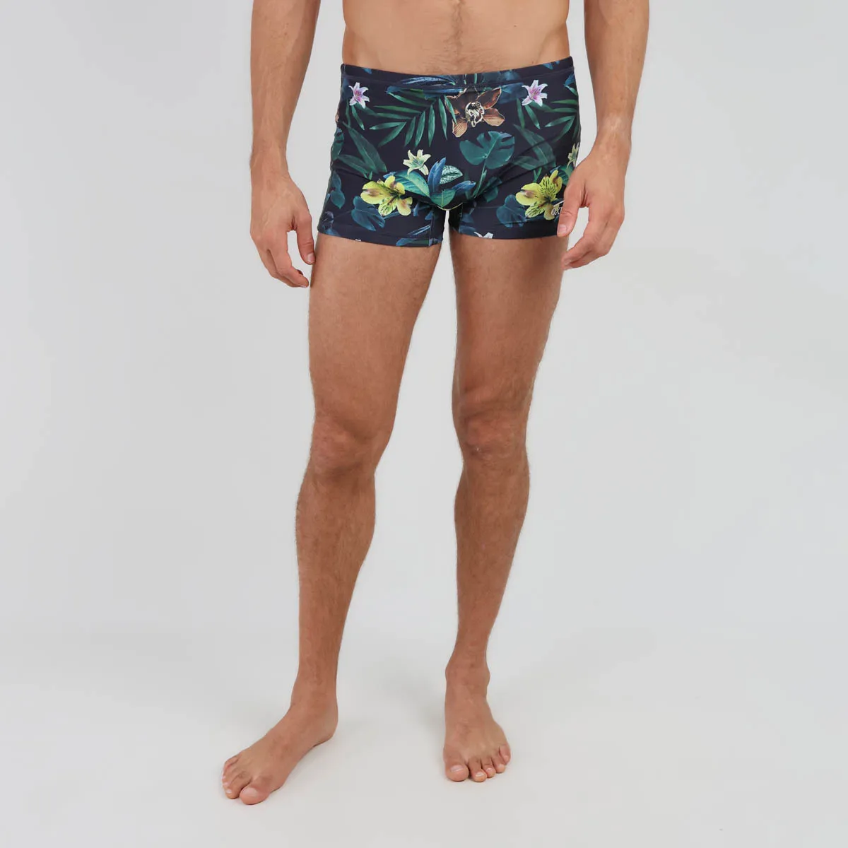 Boxer MOANA