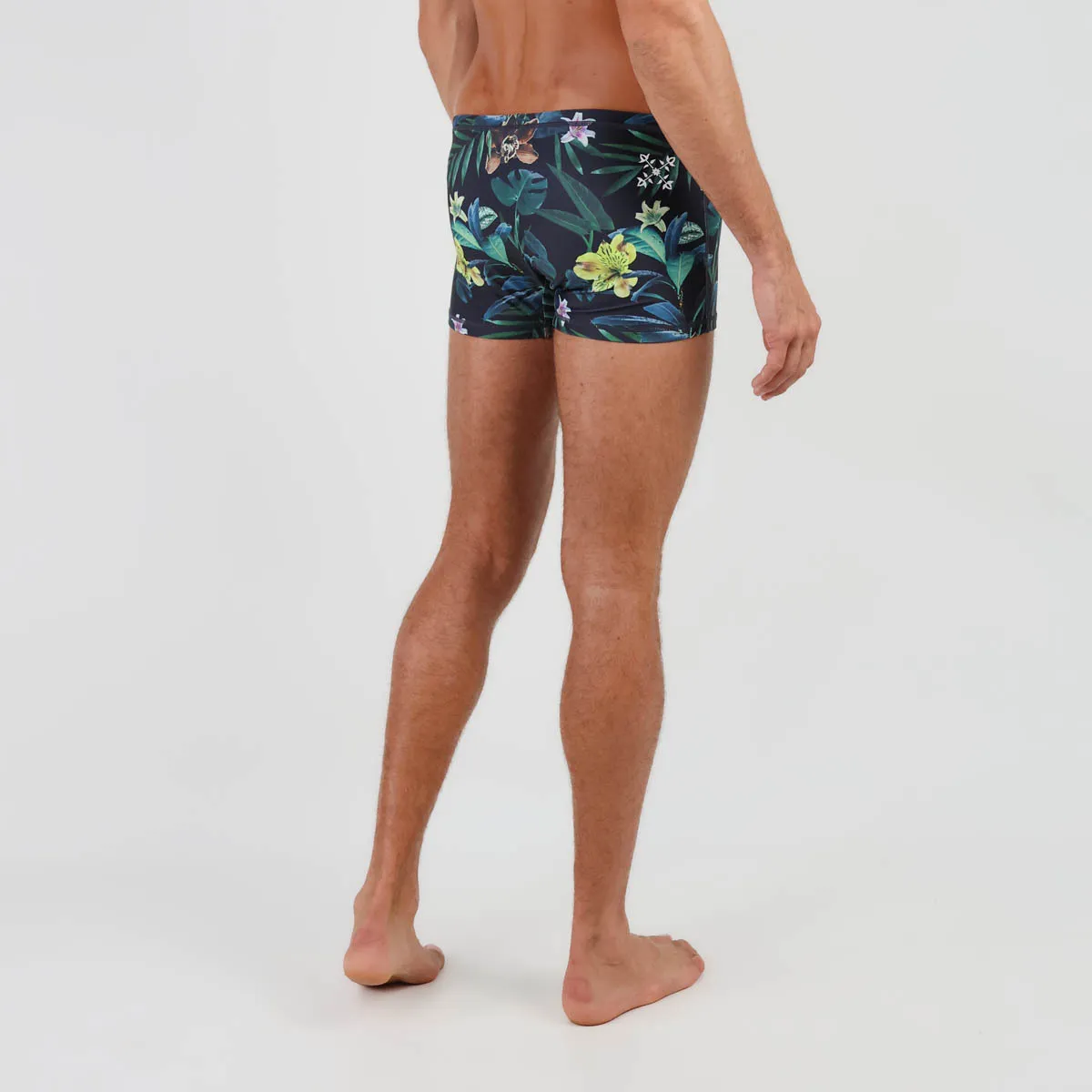 Boxer MOANA