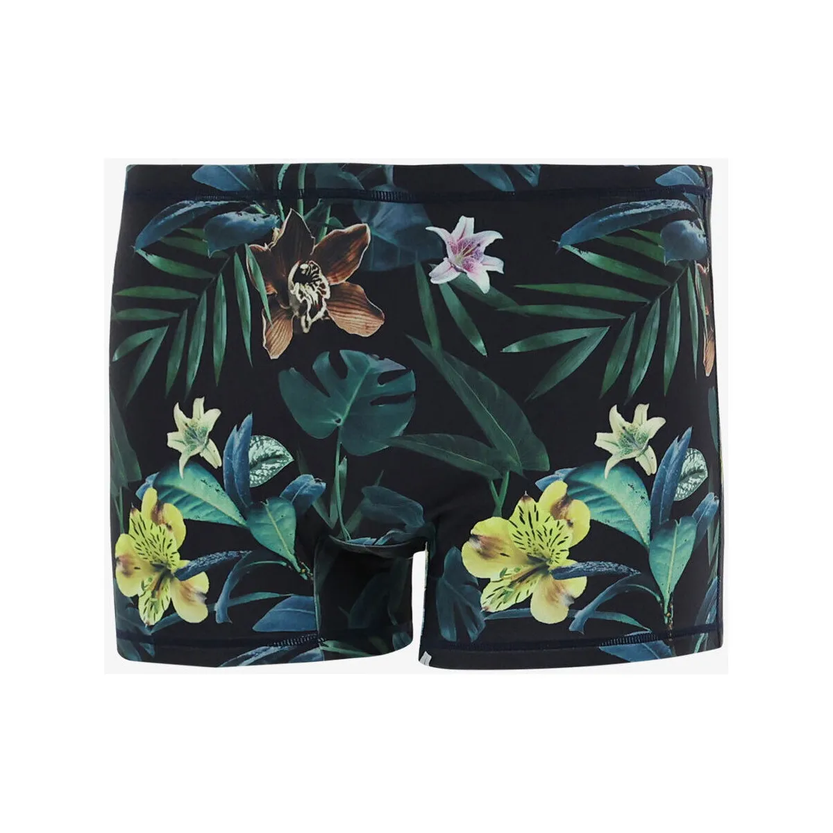 Boxer MOANA