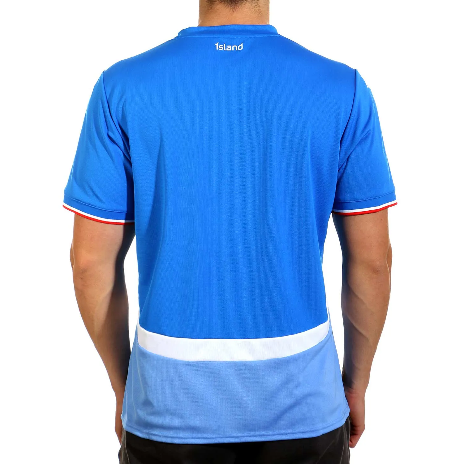 Camiseta Puma Islandia 2024 