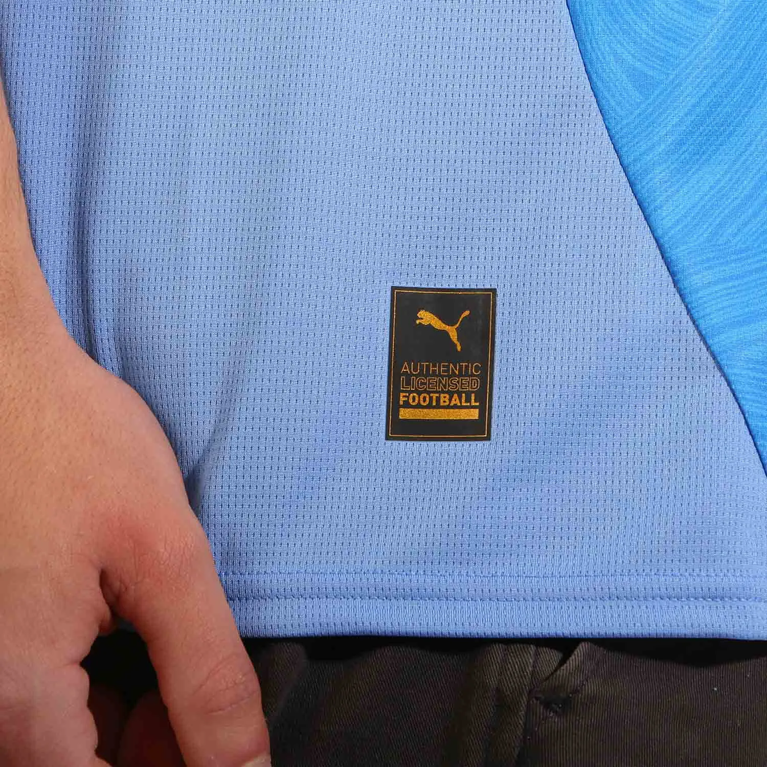 Camiseta Puma Islandia 2024 