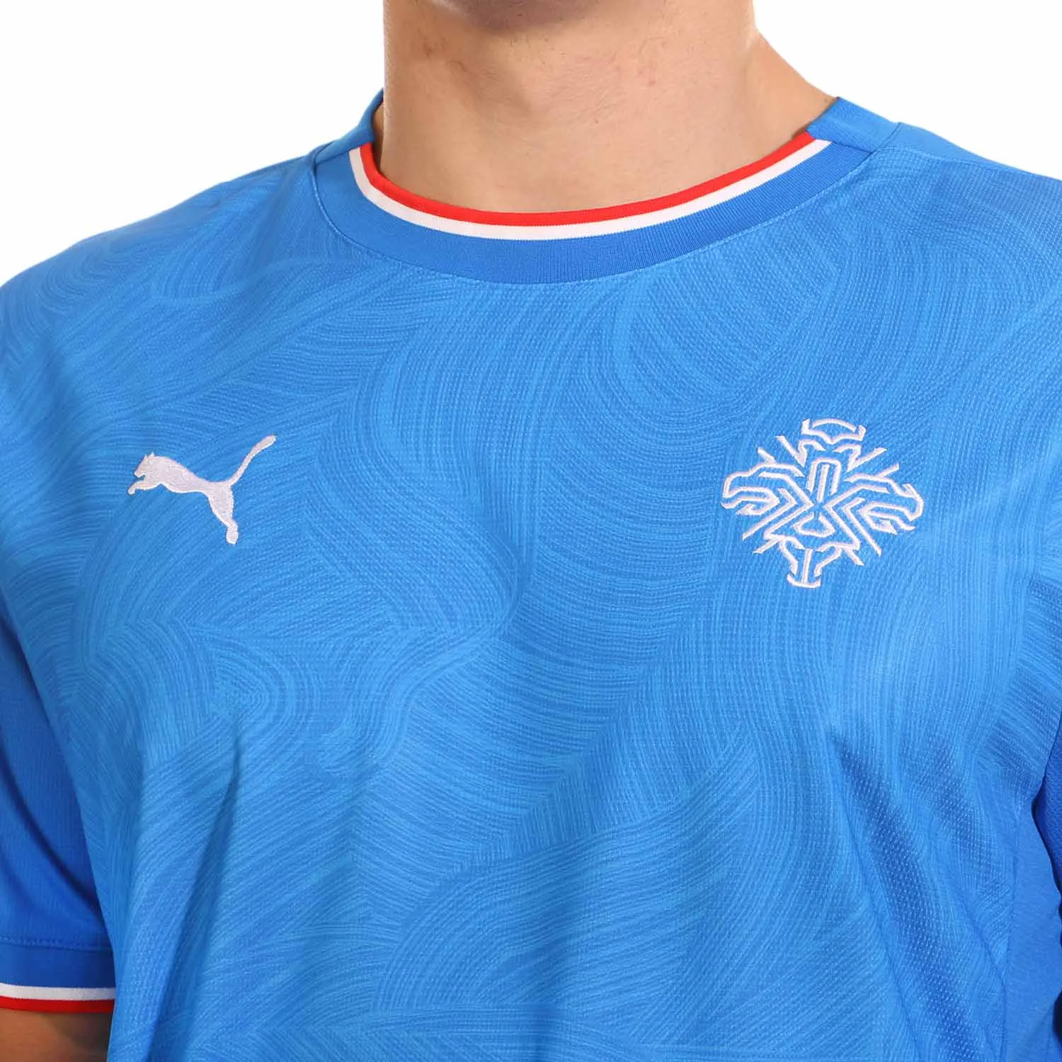 Camiseta Puma Islandia 2024 