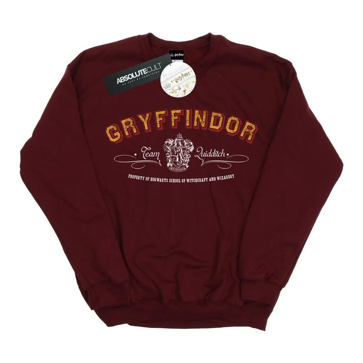 Gryffindor Team Quidditch